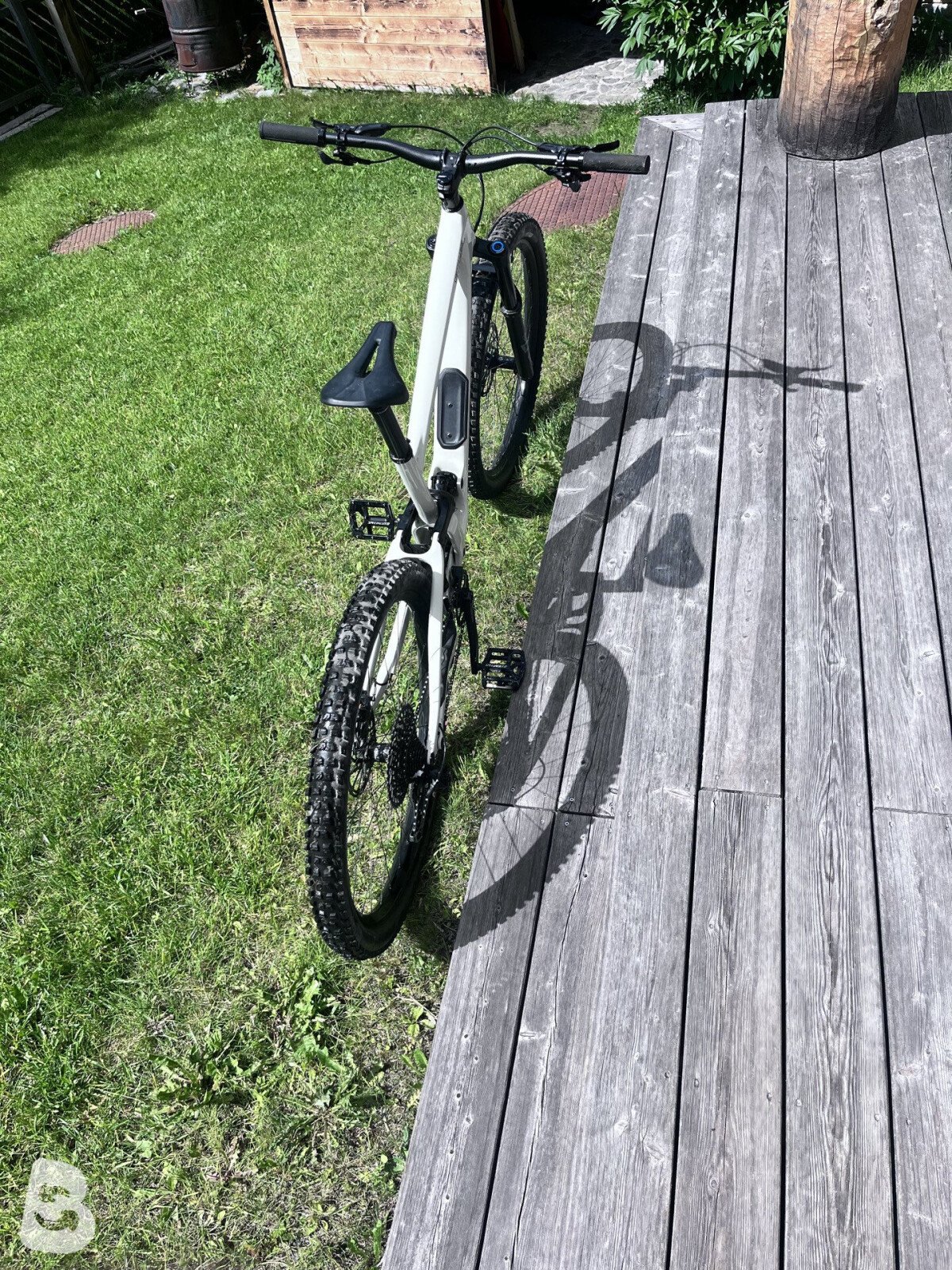 Specialized Enduro Elite 2020
