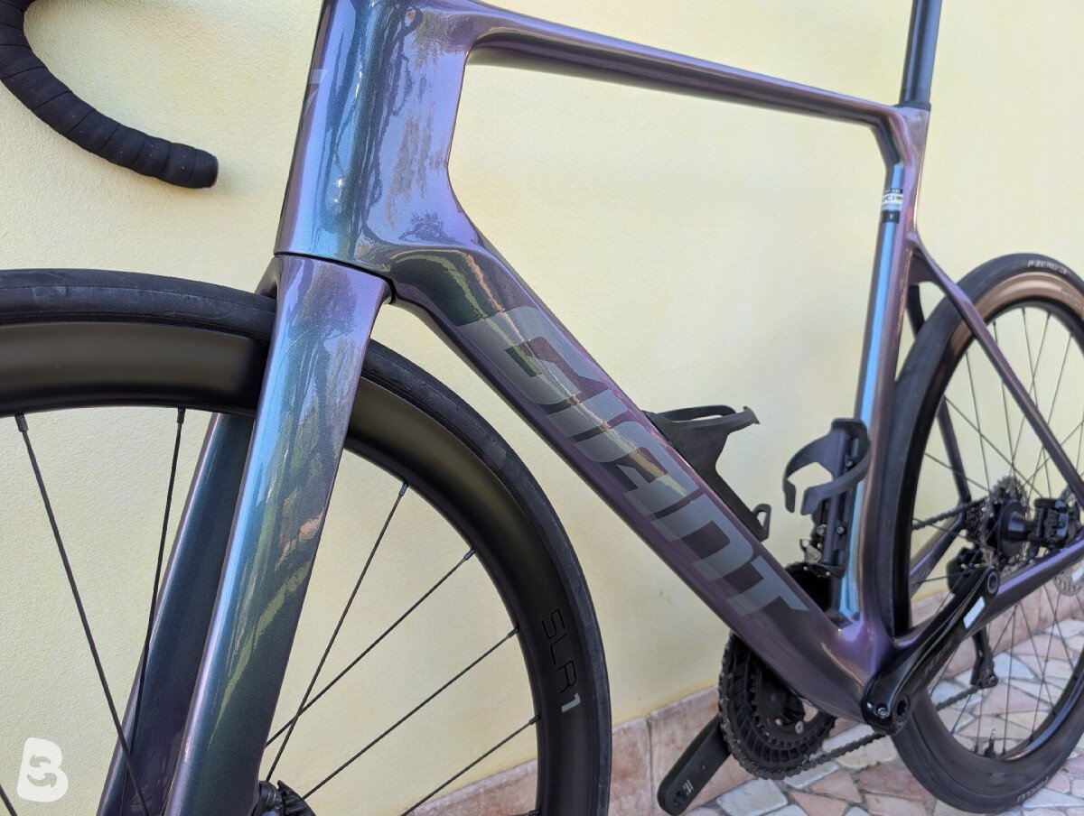 Giant Propel Advanced 1 2025