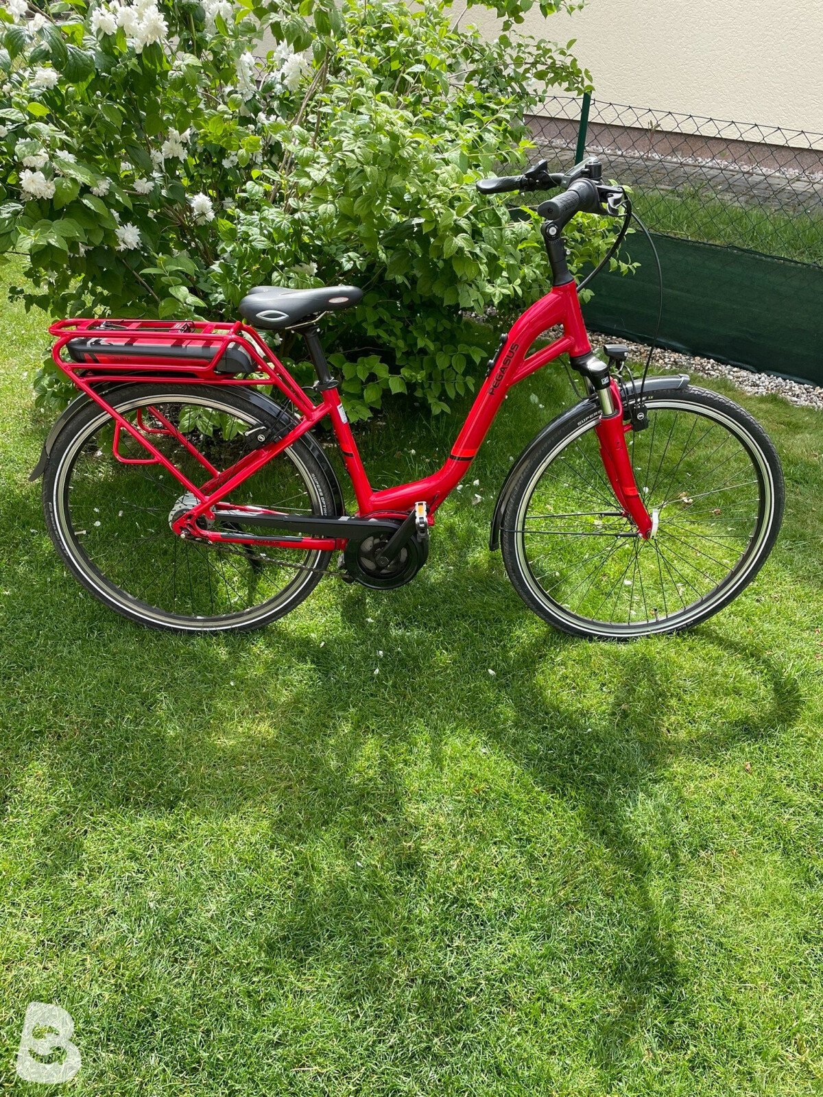 Pegasus Solero E8 2021