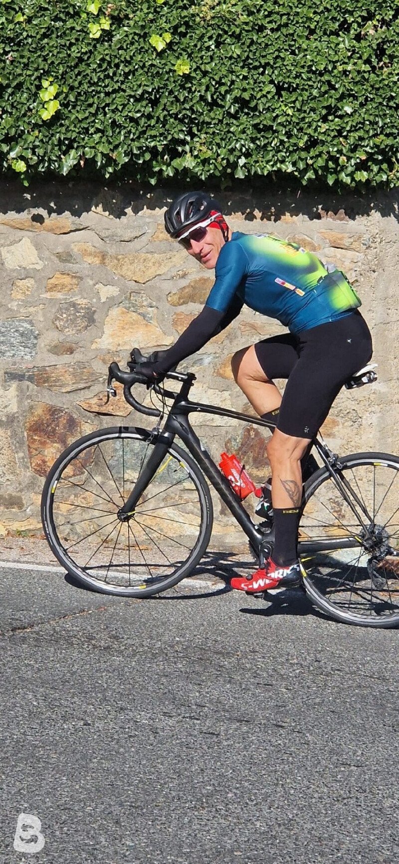 Specialized Tarmac 2017