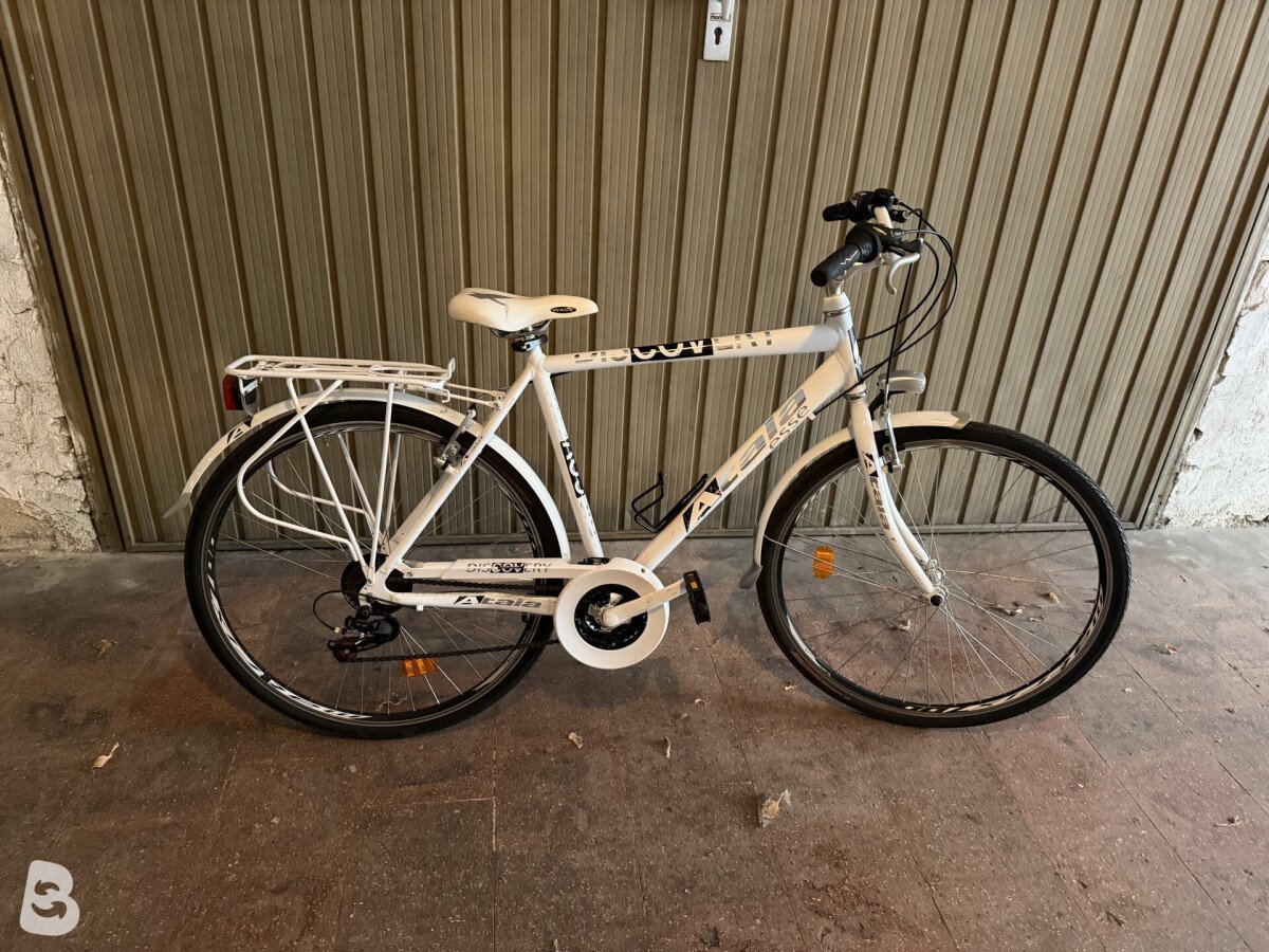 Atala Discovery Man 2014