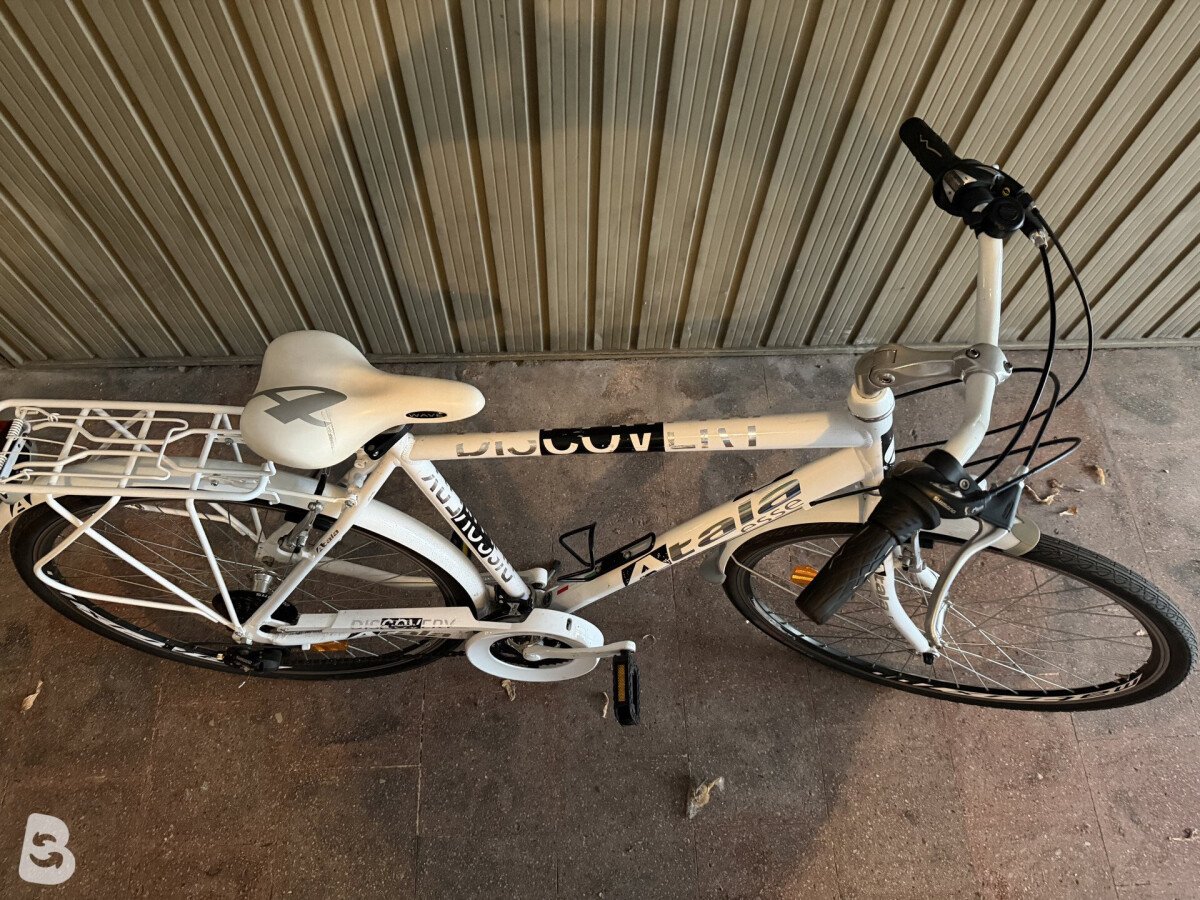 Atala Discovery Man 2014