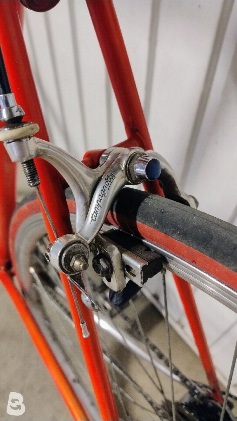Colnago Super 1981