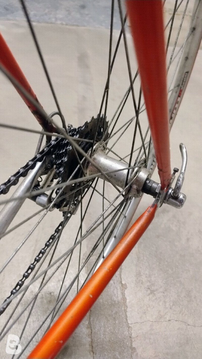 Colnago Super 1981