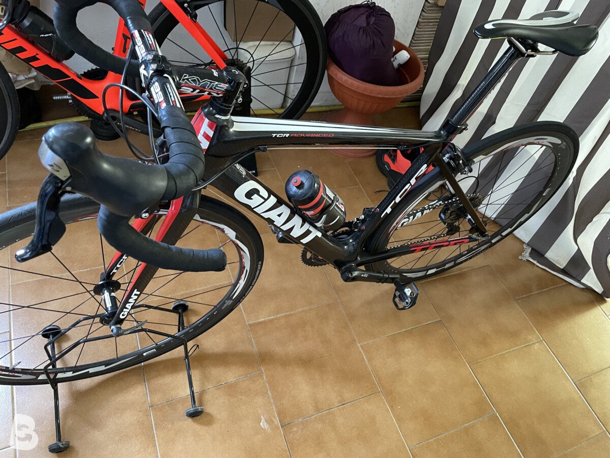 Giant tcr 2015