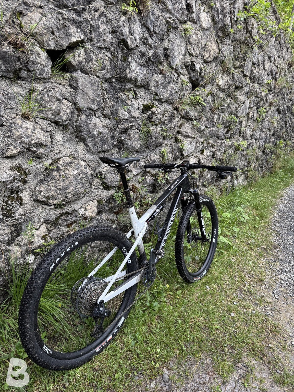 Canyon Lux Word Cup 2025