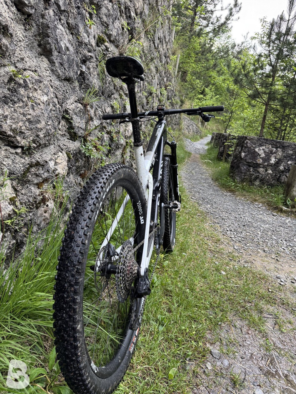 Canyon Lux Word Cup 2025