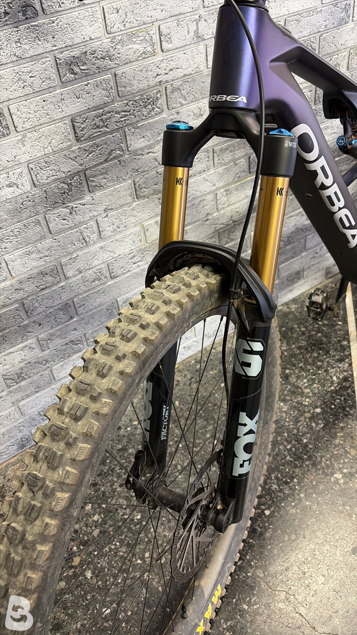 Orbea Rise M-TEAM 2025