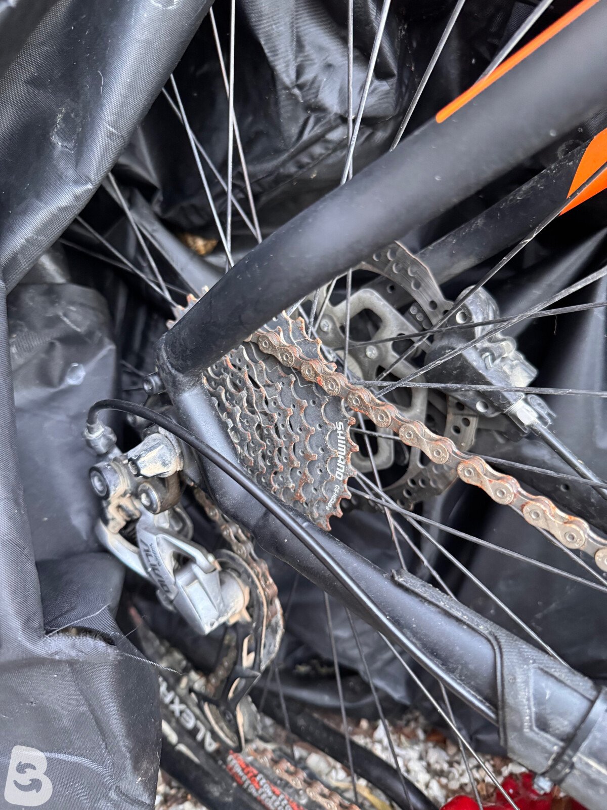 Trek Powerfly 5 2017