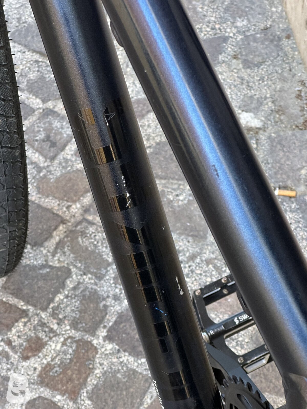 NS Bikes dirt 2024