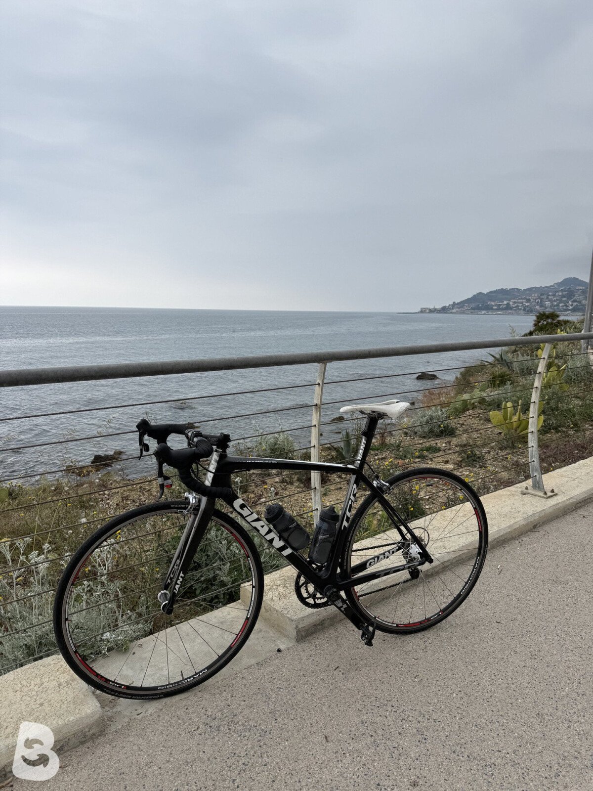 Giant Tcr Advanced Sl 2012