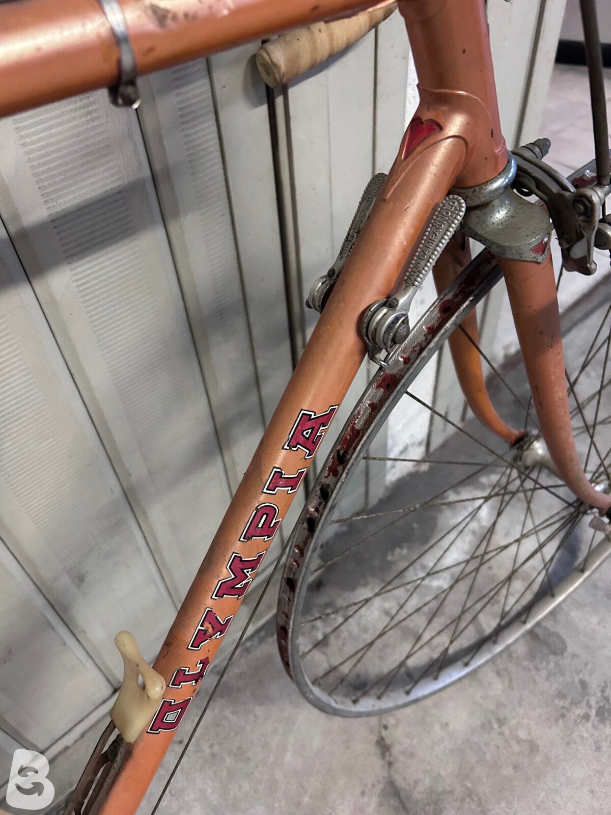 Olympia Campagnolo 1974