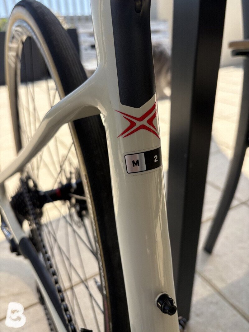 Giant Revolt Advanced 2 2019
