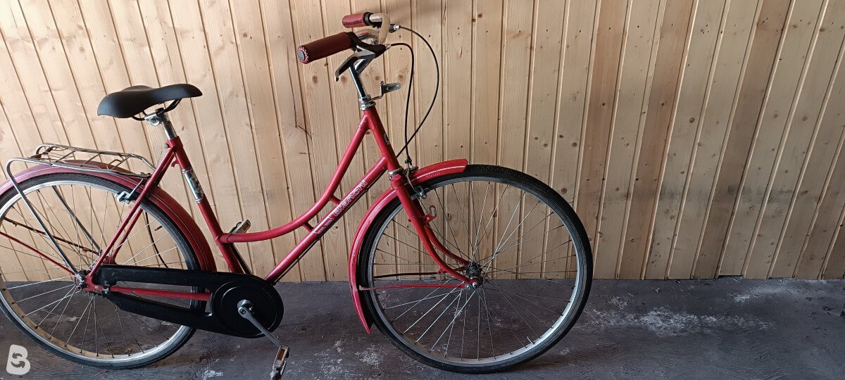 Bianchi regina 1992