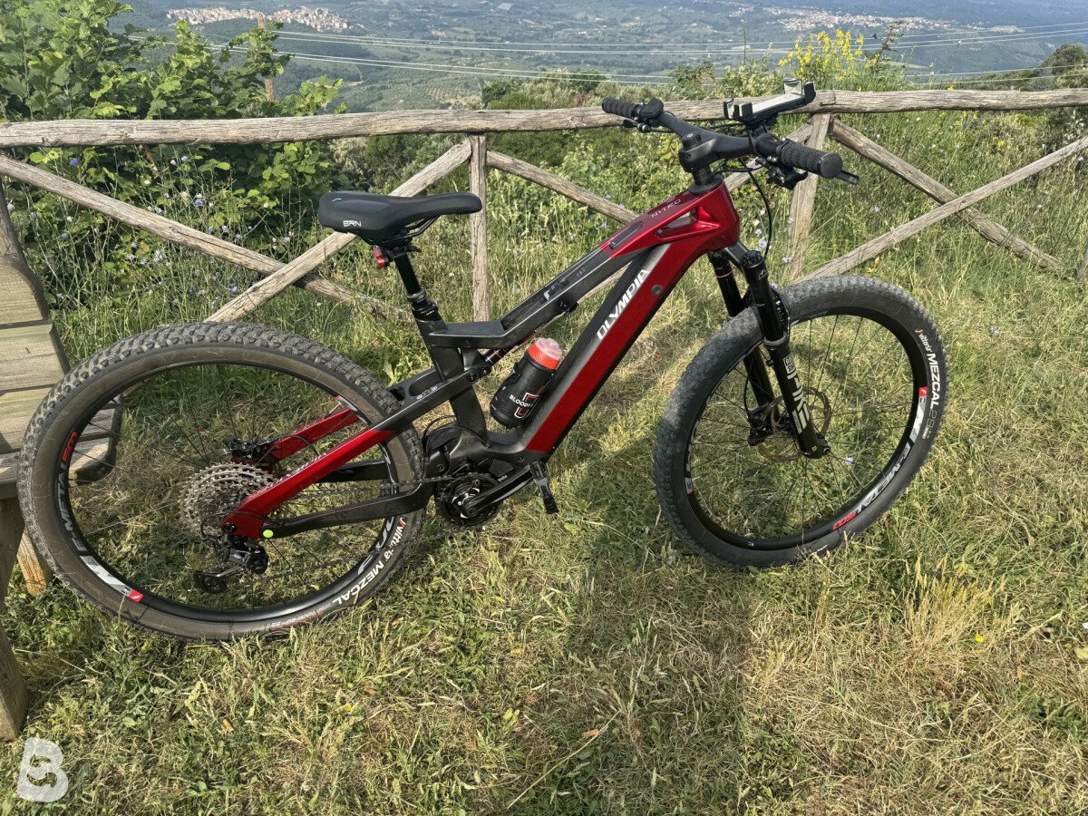 Olympia Nitro 2025