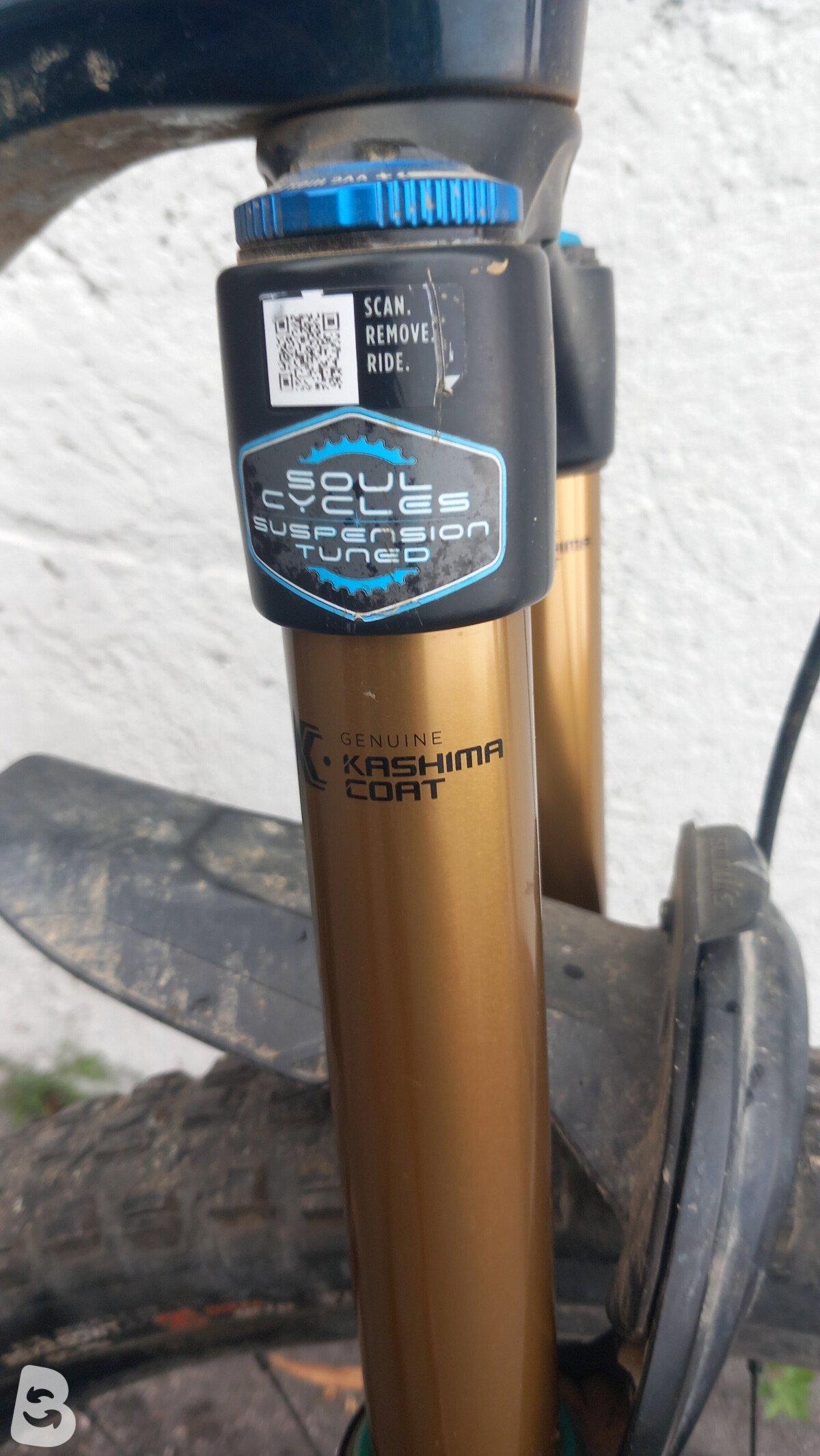 Orbea RISE M-TEAM 2022