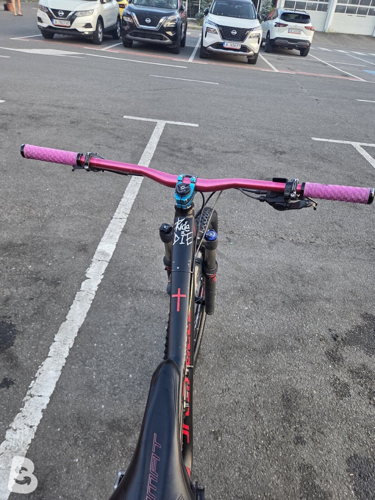 Specialized Camber 2021
