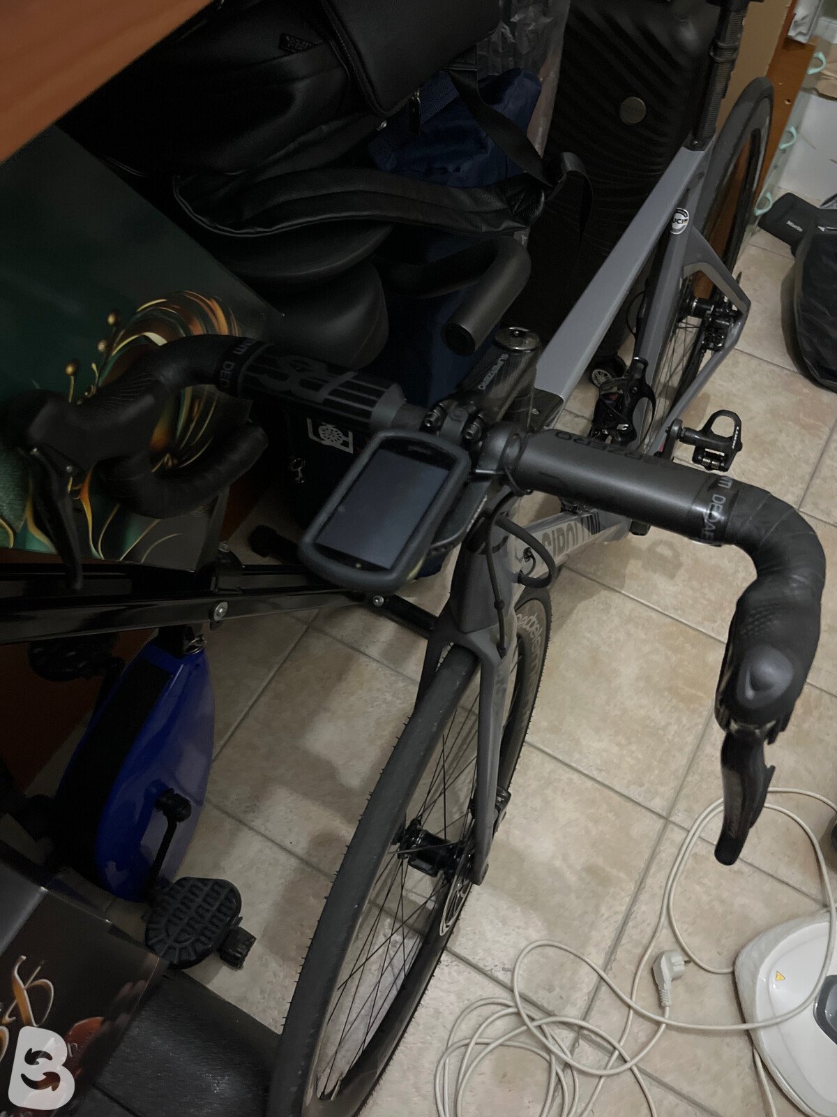 Cipollini NK1K 2022
