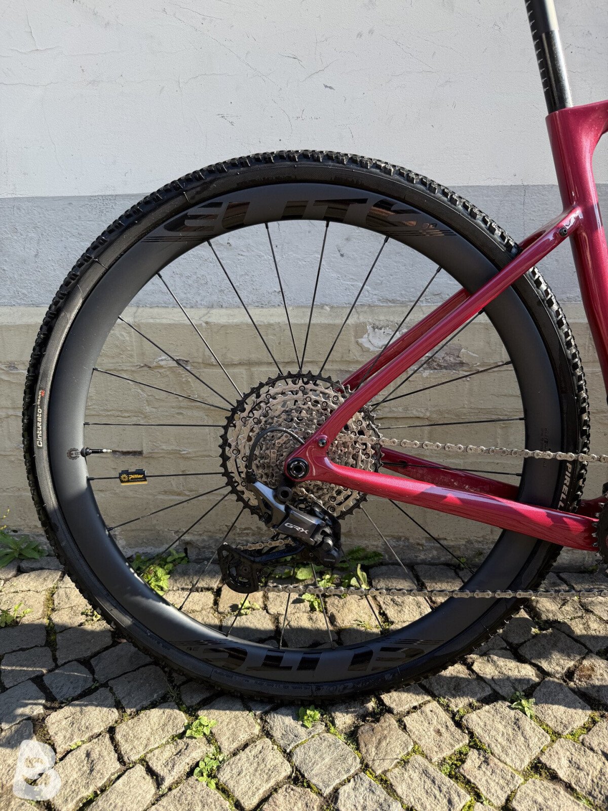 Mondince Cycle 2026