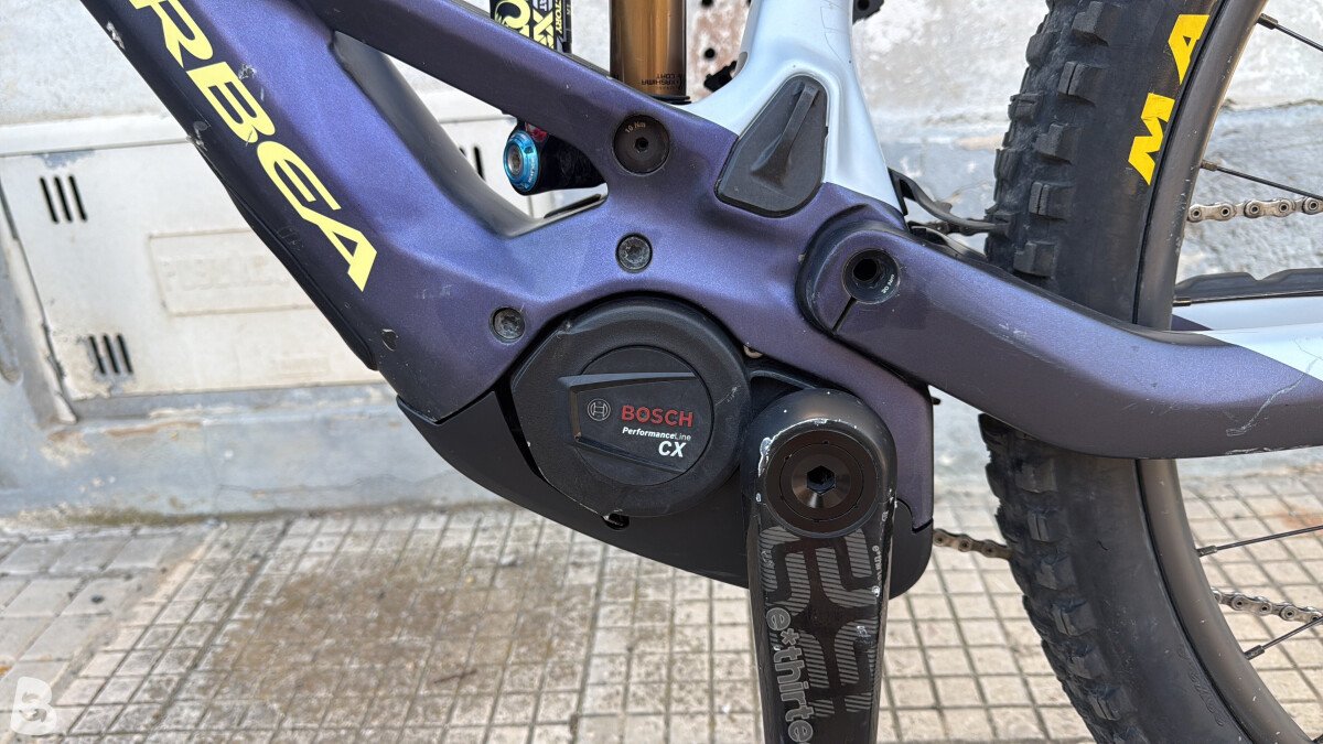 Orbea WILD M-LTD 2023