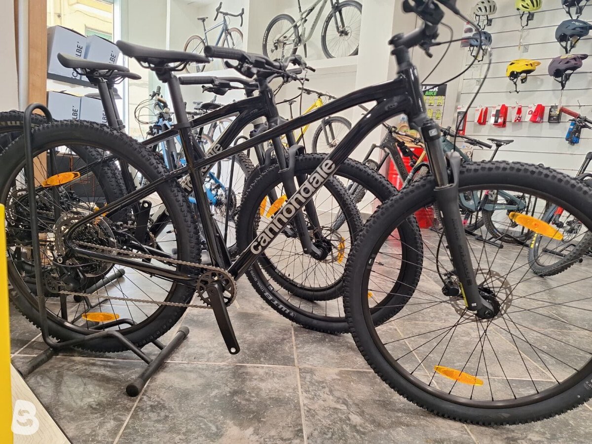 Cannondale Trail 2 2026