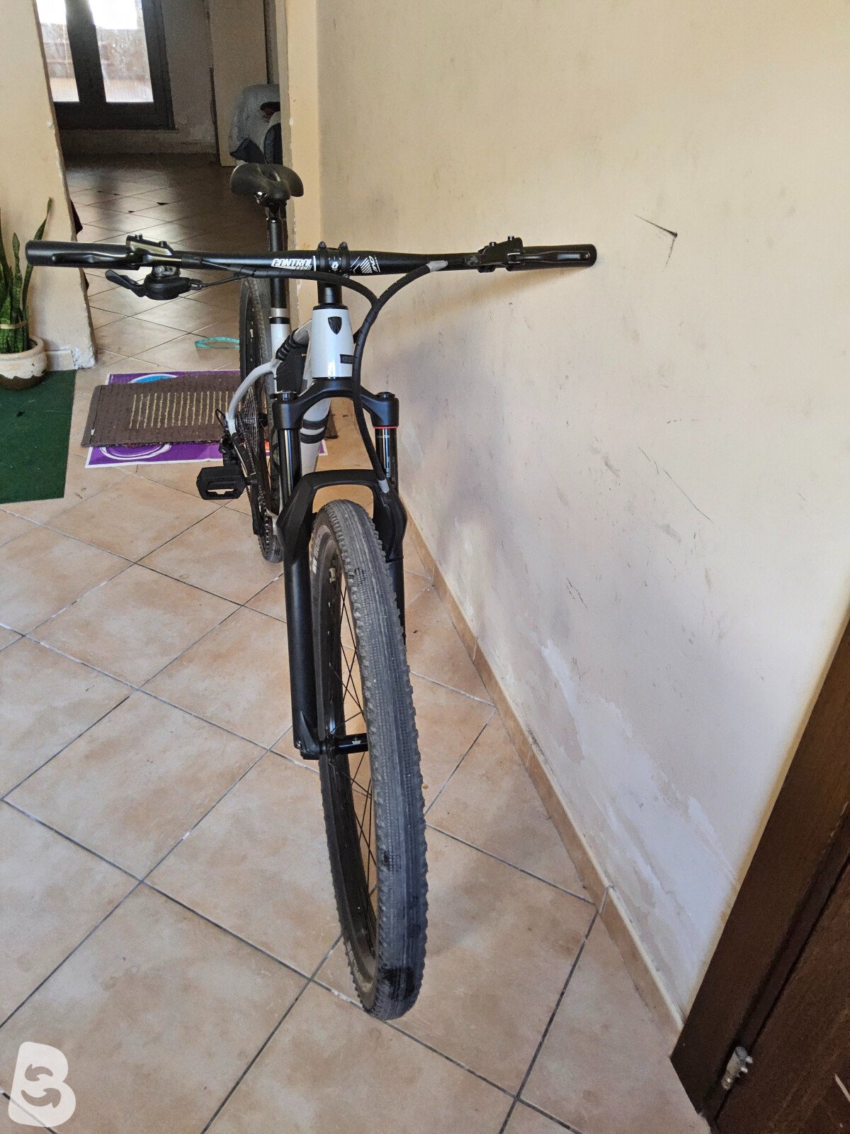 Trek Procaliber 8 2024
