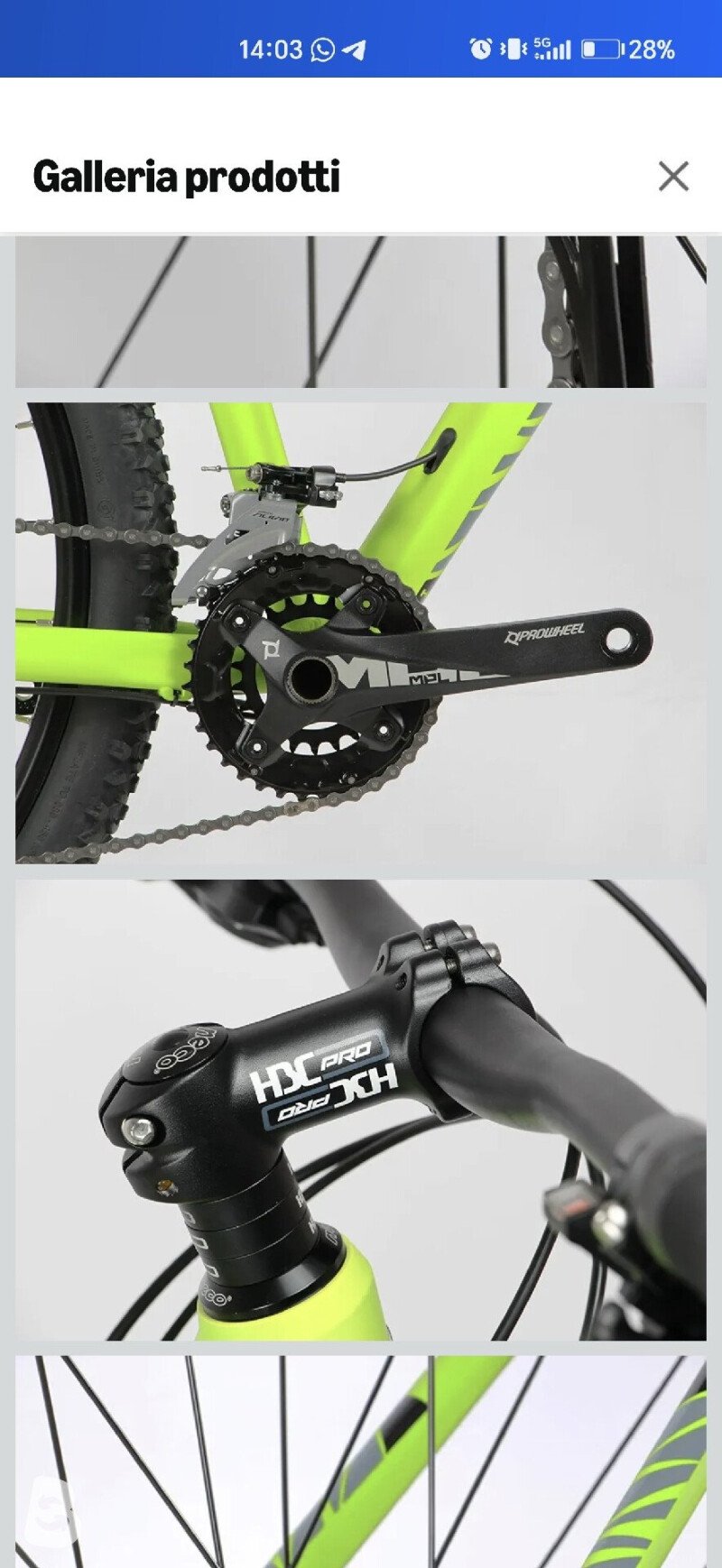 Head X-Rubi 1.0 2023