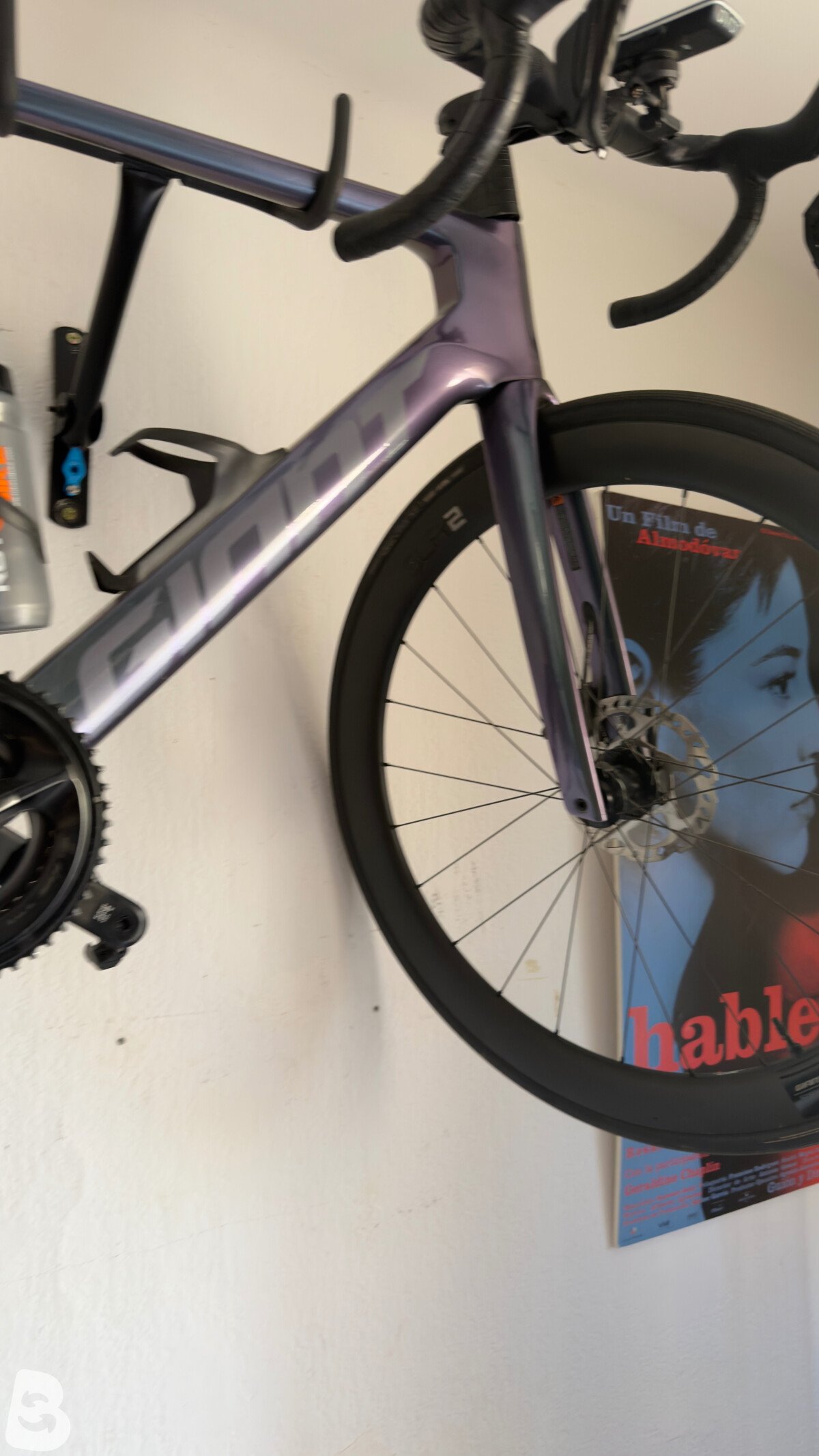 Giant Propel, Advanced 1 2024