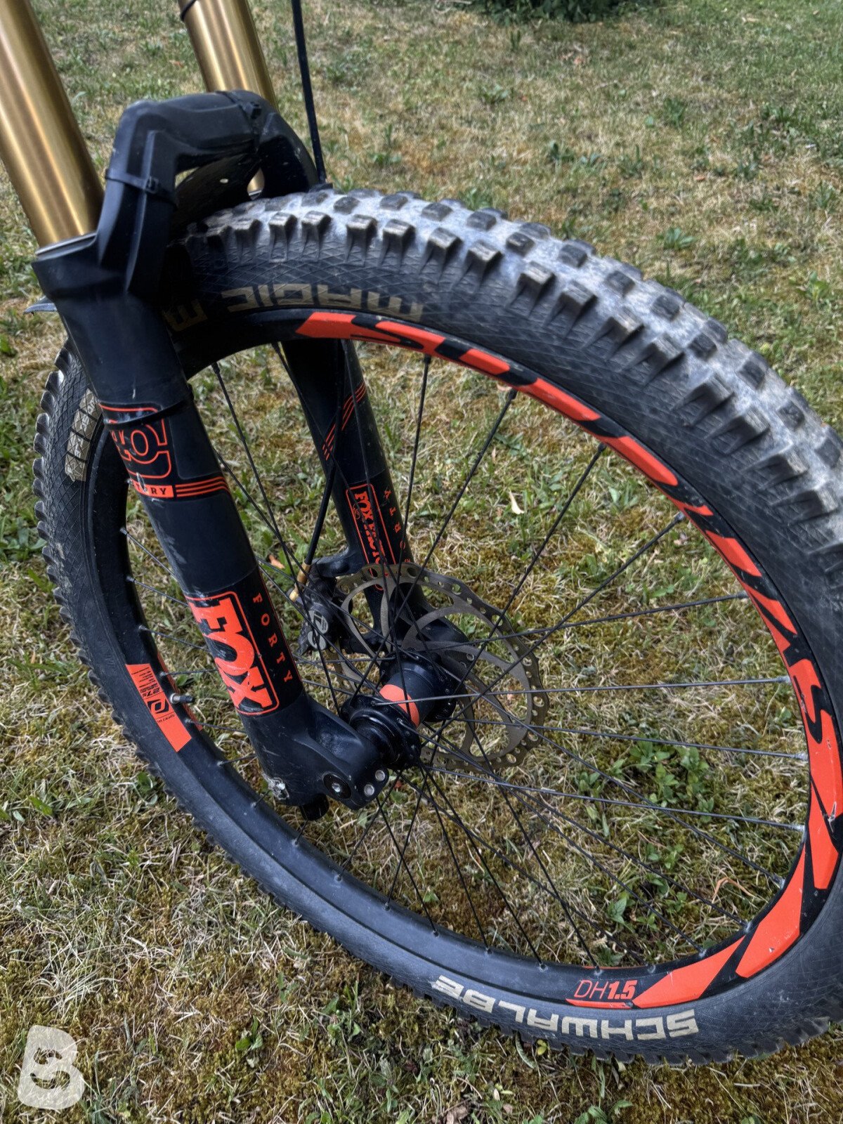 Scott Gambler 710 2017
