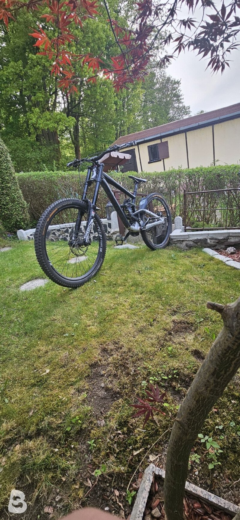 Scott Gambler 710 2017