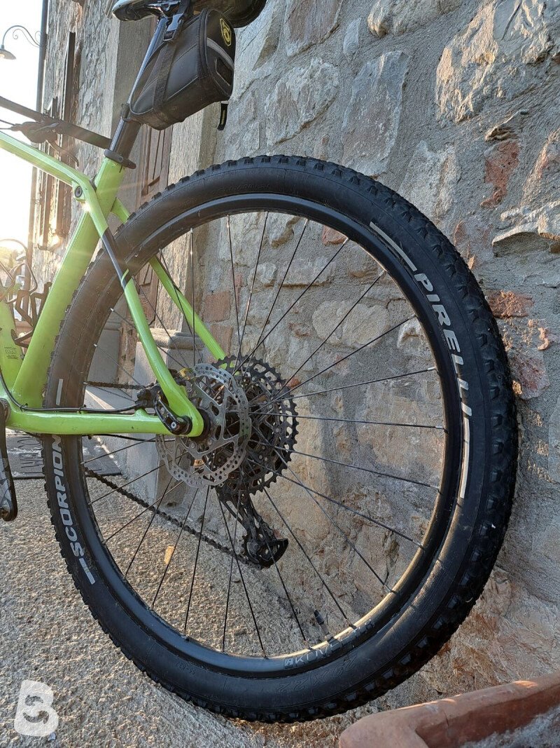 Trek Procaliber 9.6 2019