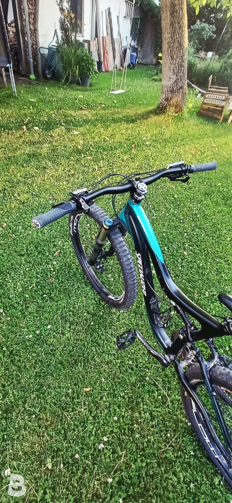 Specialized Safire 2013