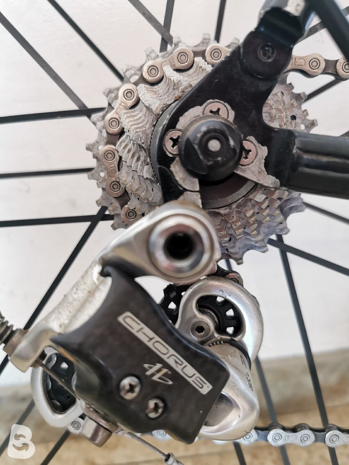 Visual Elite M/L 55x52 - guarnitura PINARELLO 2008