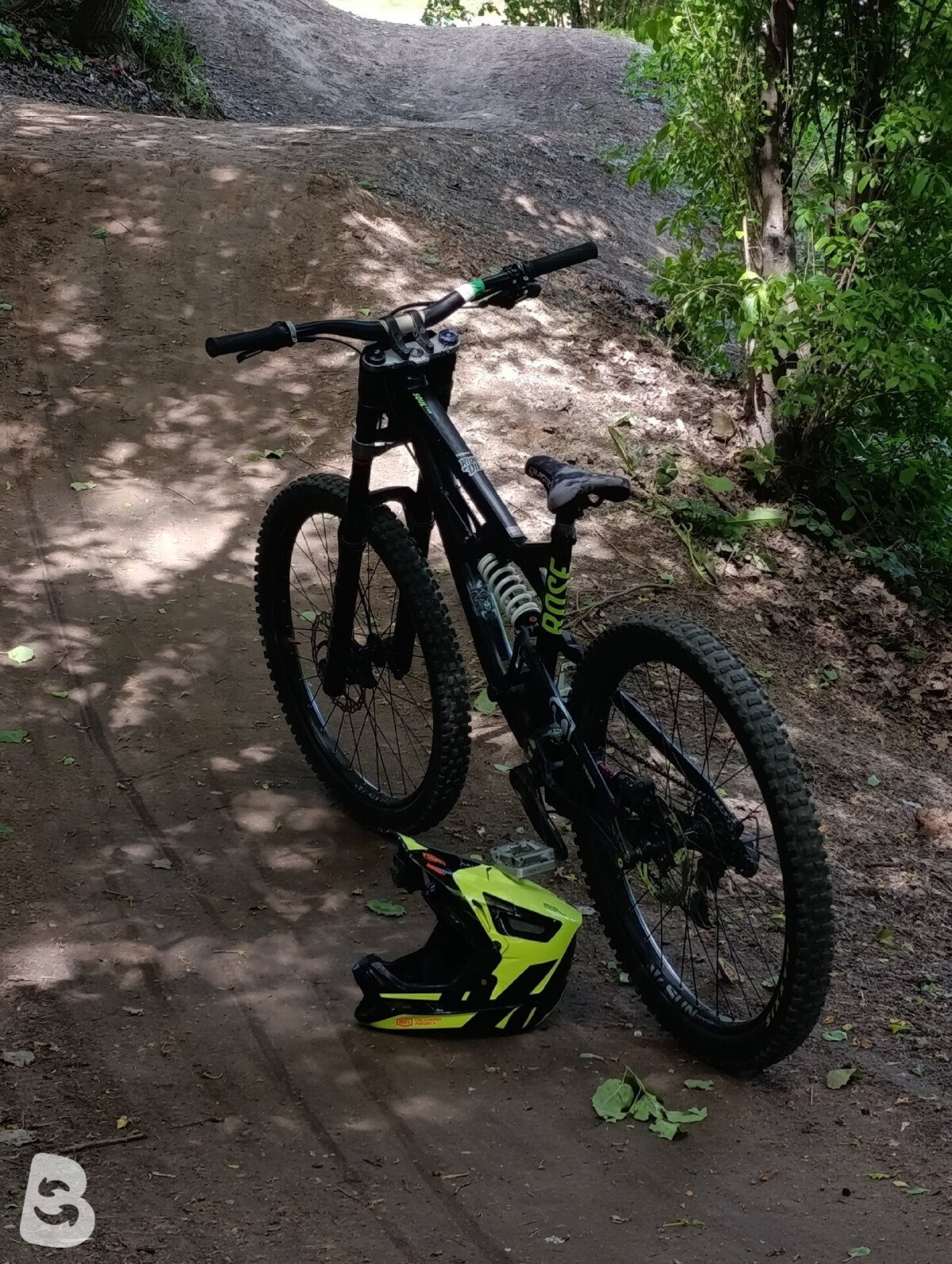 Rose SOUL FIRE DH 2023