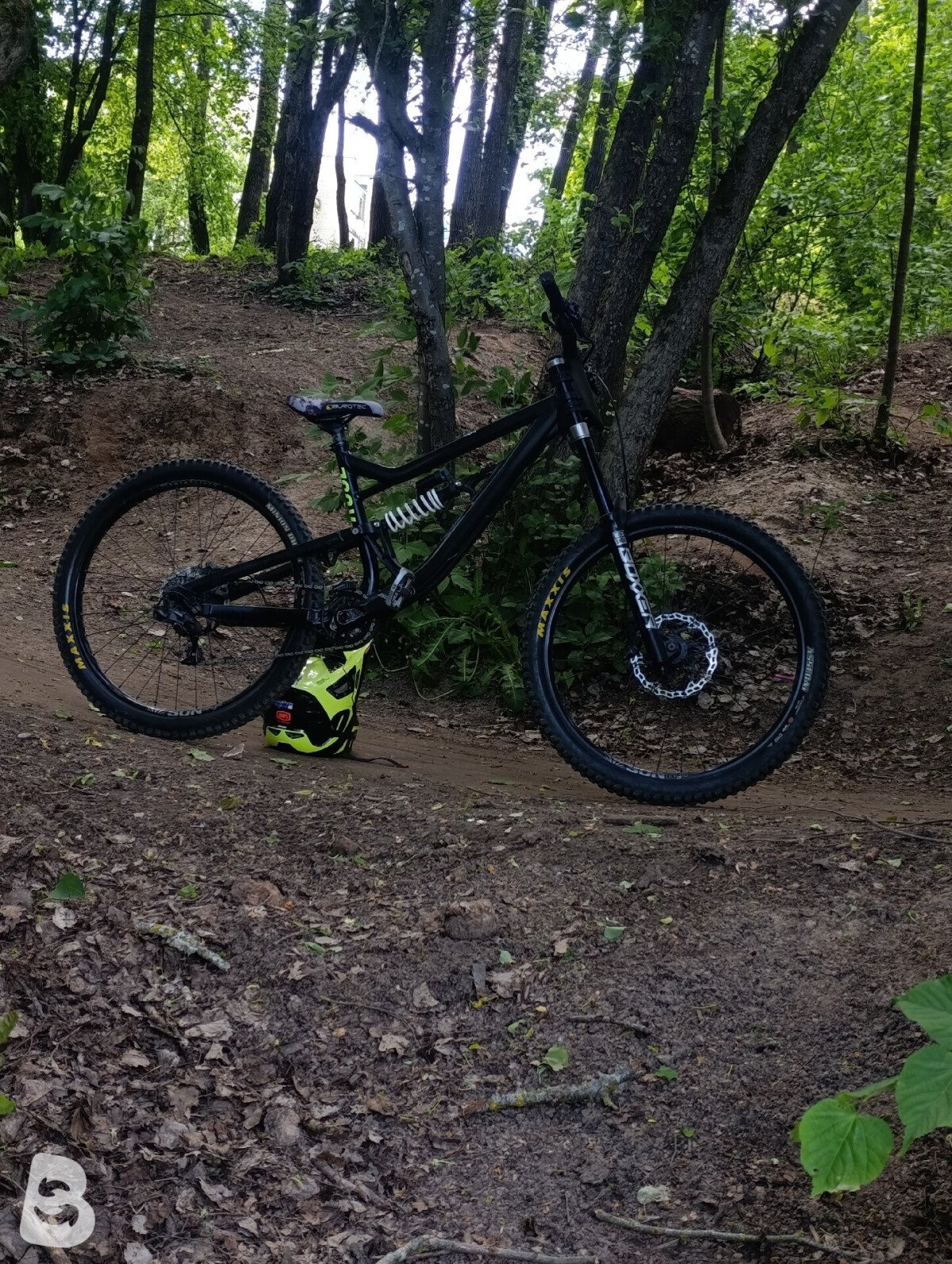 Rose SOUL FIRE DH 2023