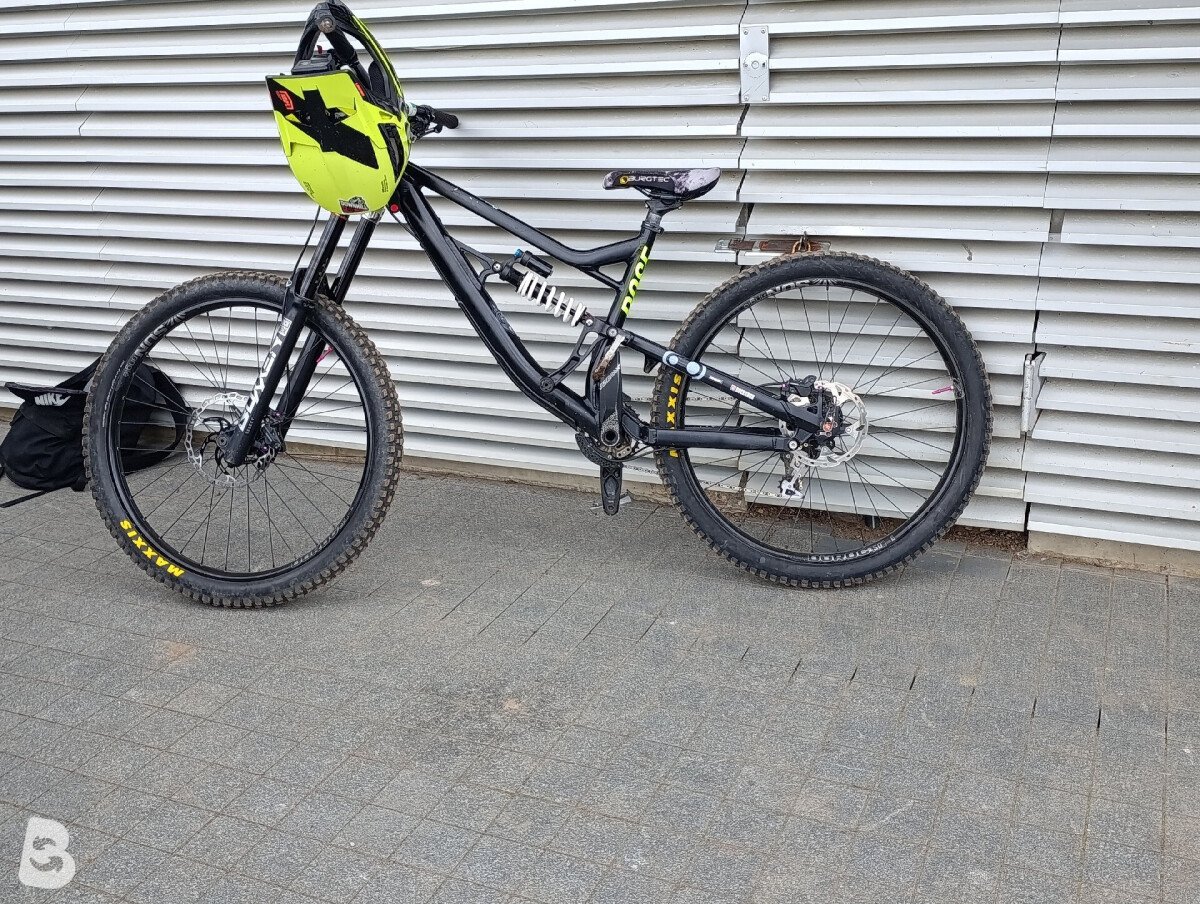 Rose SOUL FIRE DH 2023
