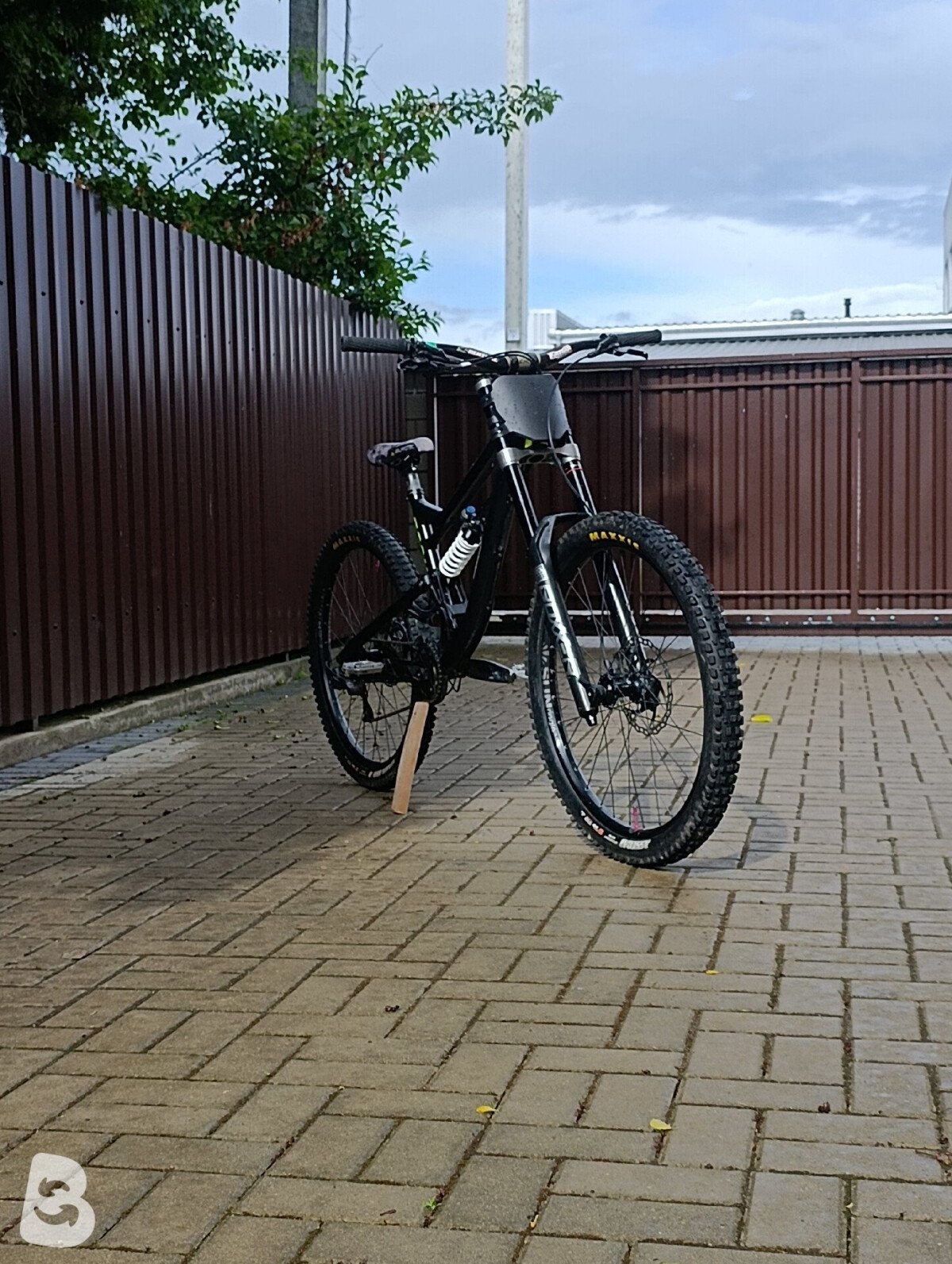 Rose SOUL FIRE DH 2023