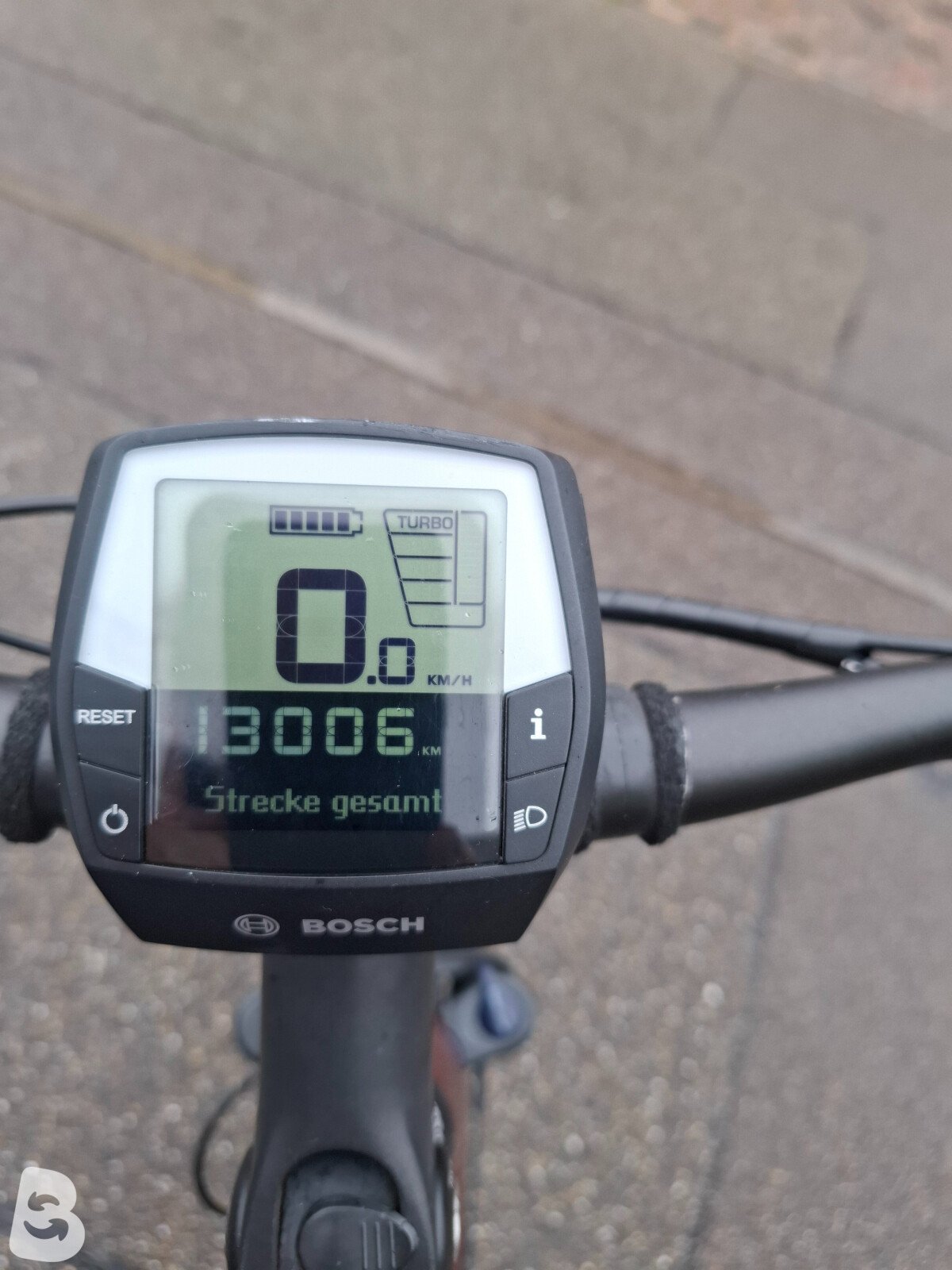 Pegasus Premio evo 10 ligh 2021