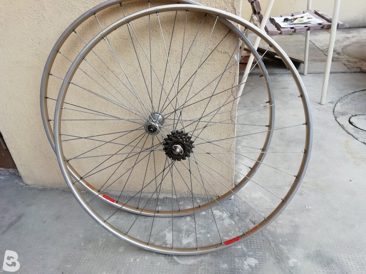 Ciocc crono 1981
