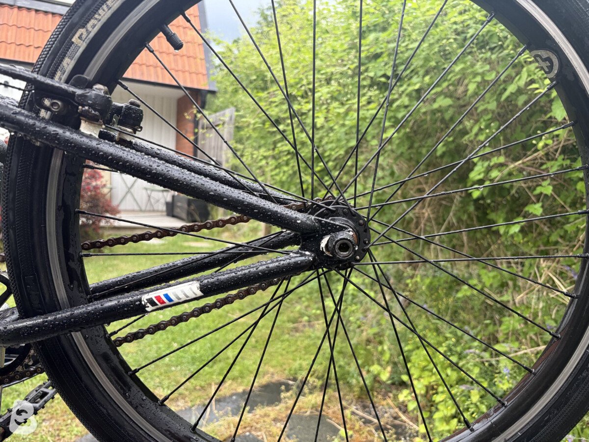 WeThePeople Atlas 24" 2023