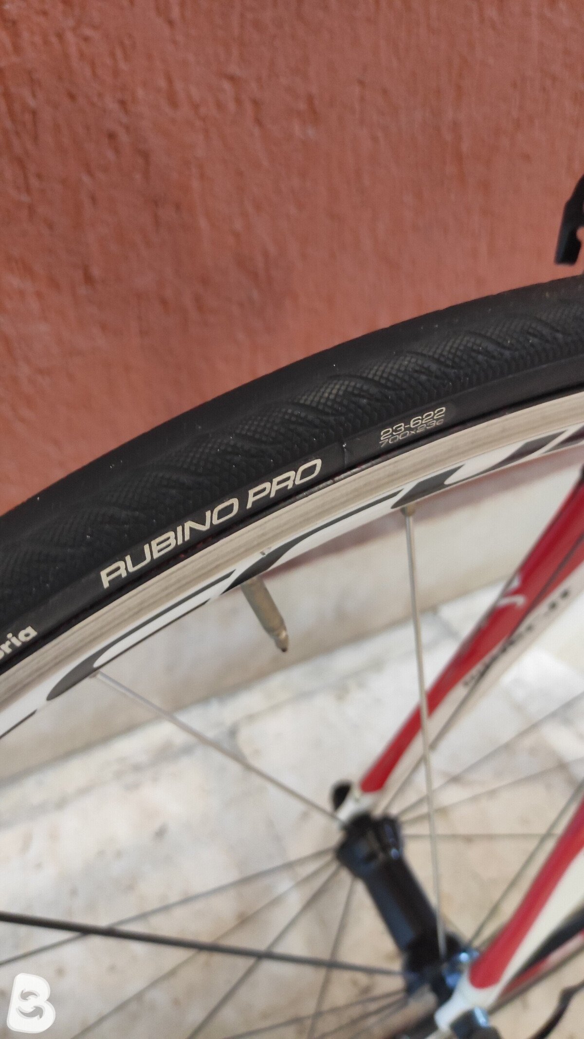 Wilier Gran turismo 2014