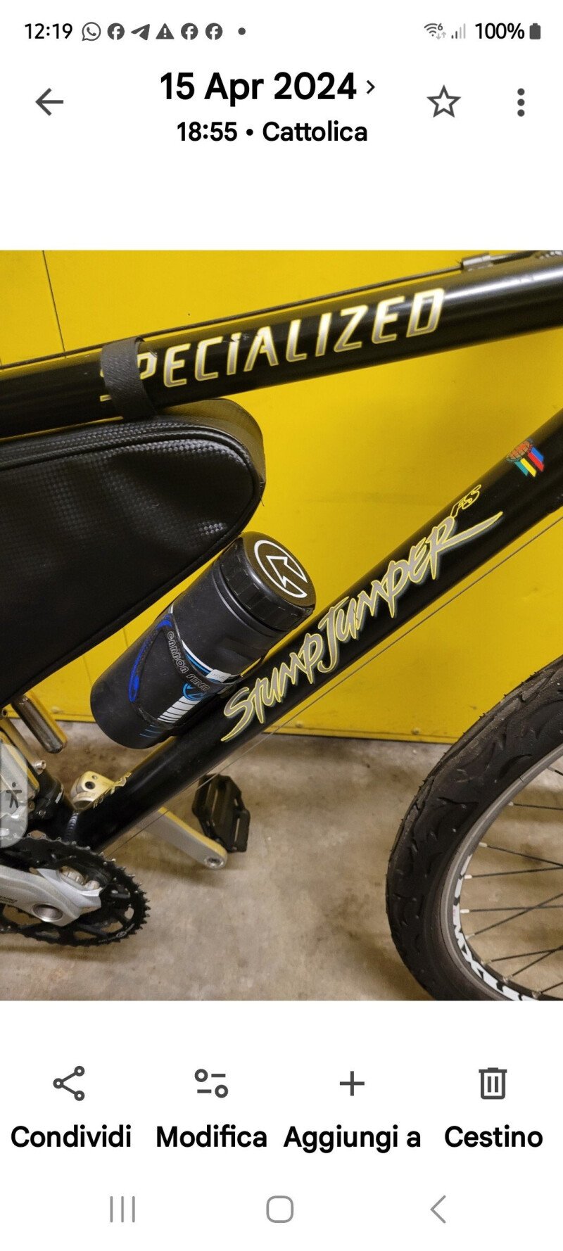 Specialized Stumpjumper 2005