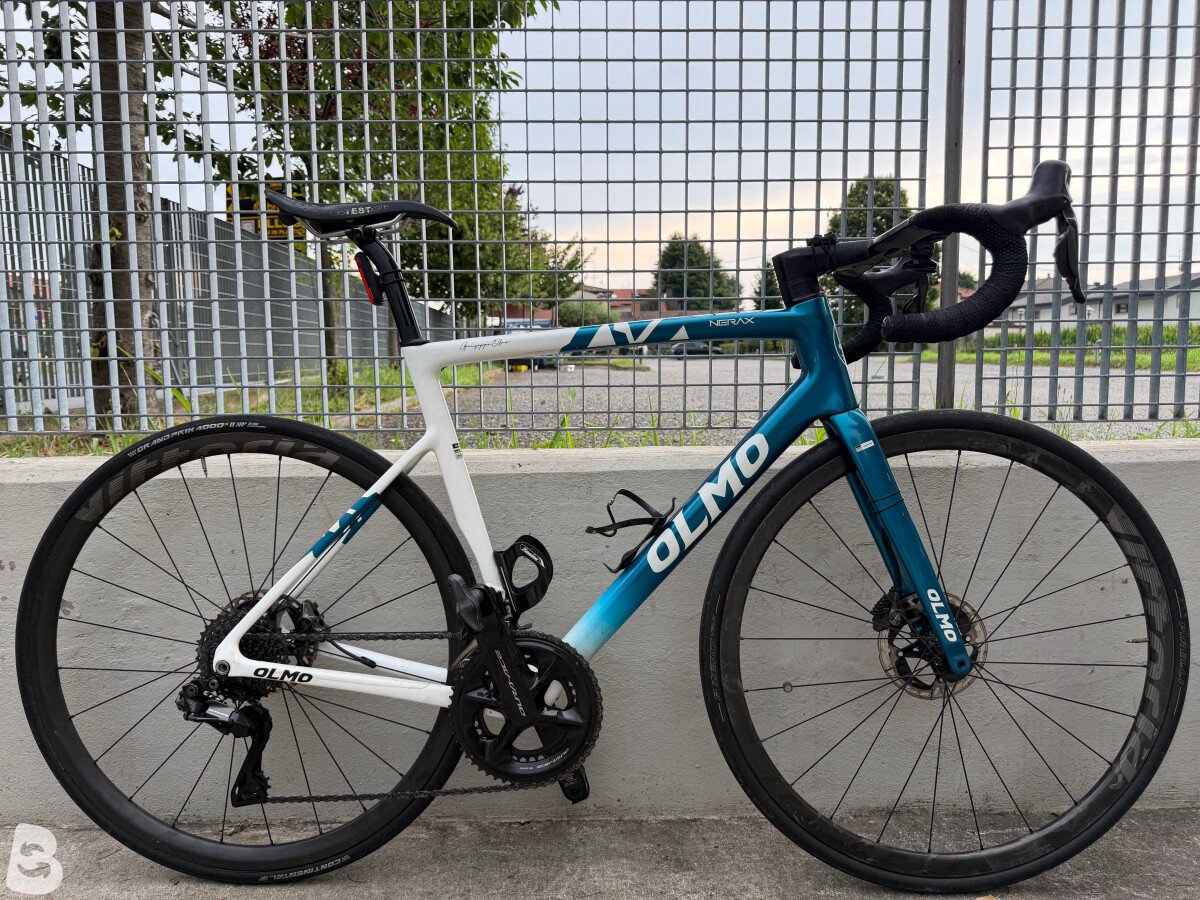 Olmo Nerax 2022
