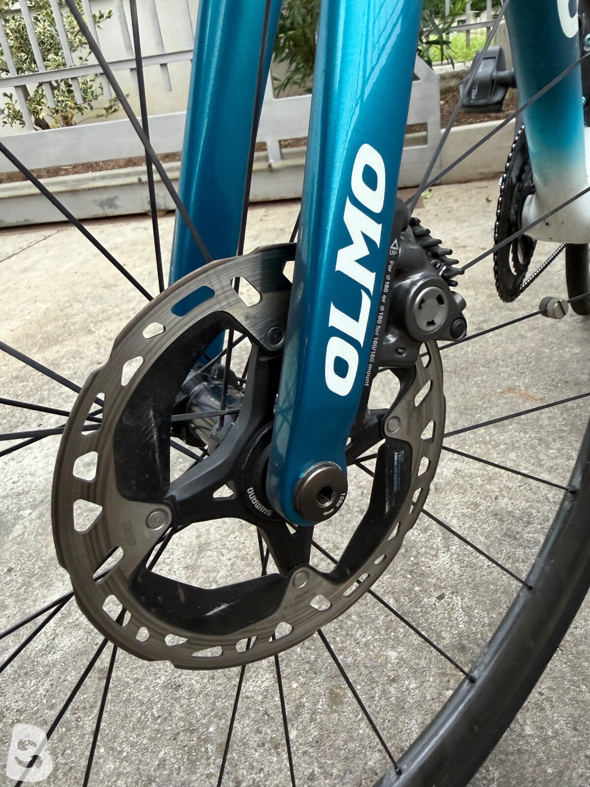Olmo Nerax 2022