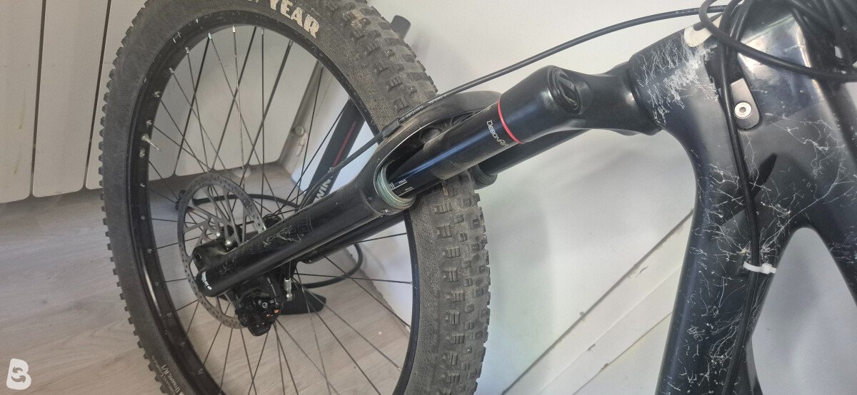 Zerode Taniwha 2024