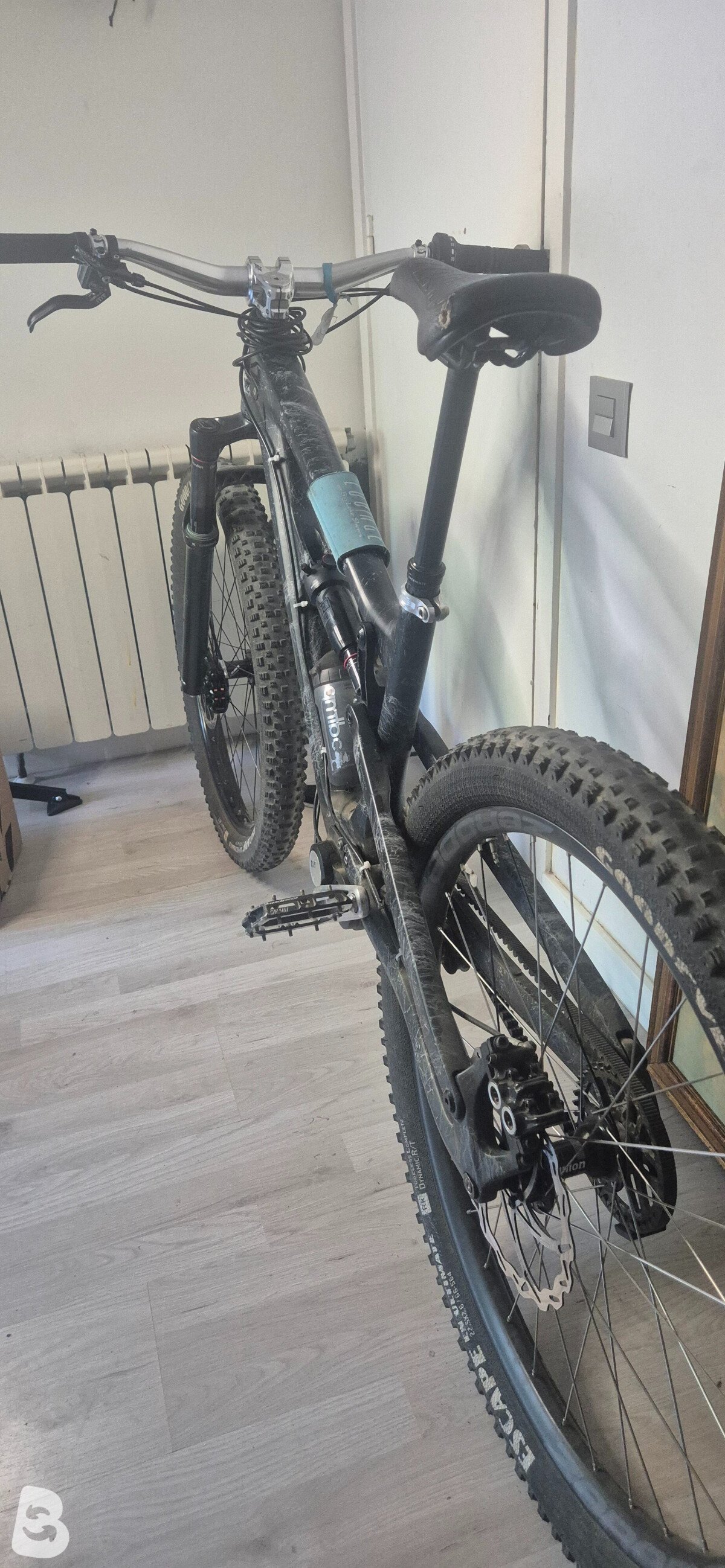 Zerode Taniwha 2024