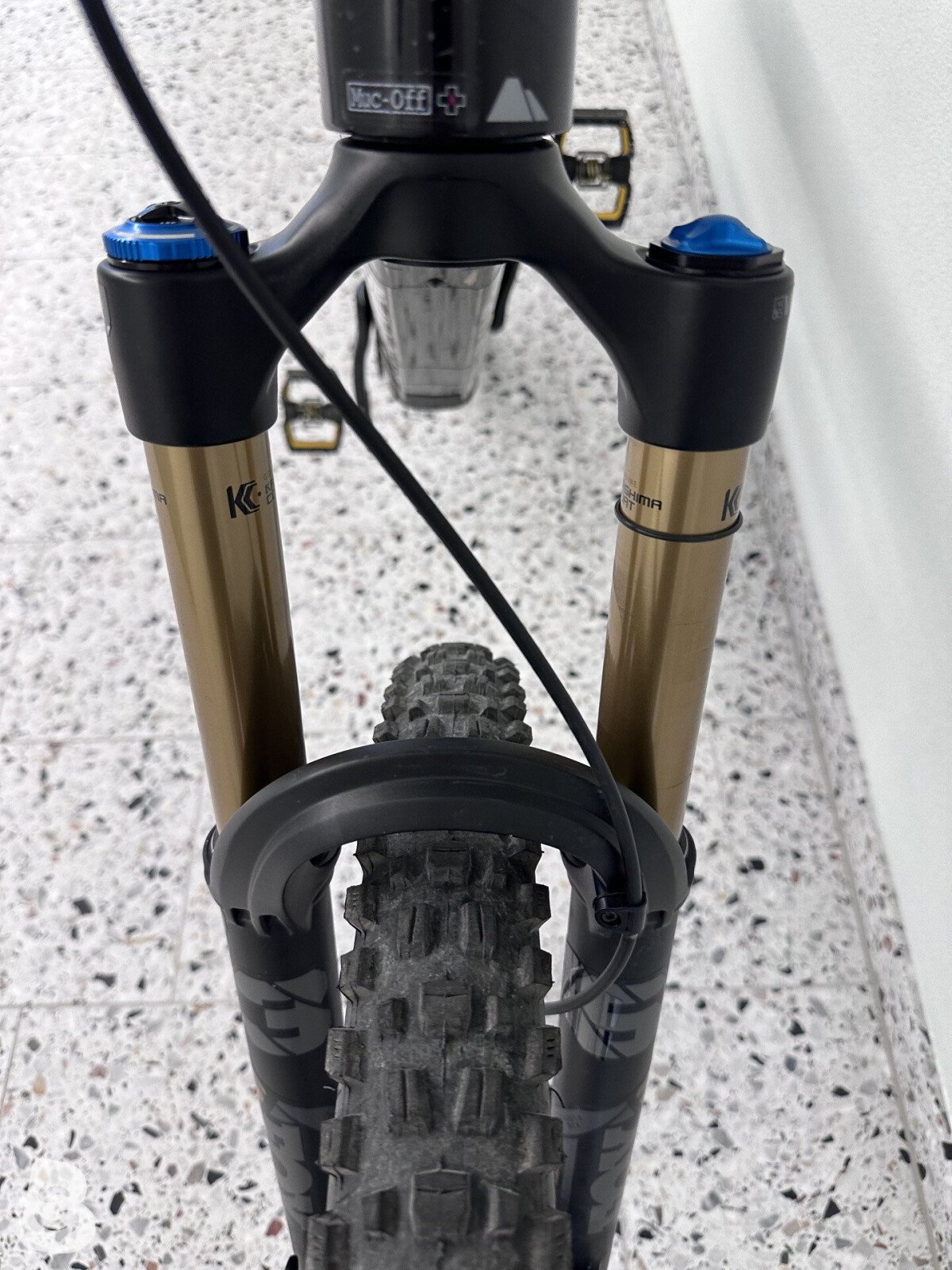Canyon Spectral:ONfly CF LTD 2024