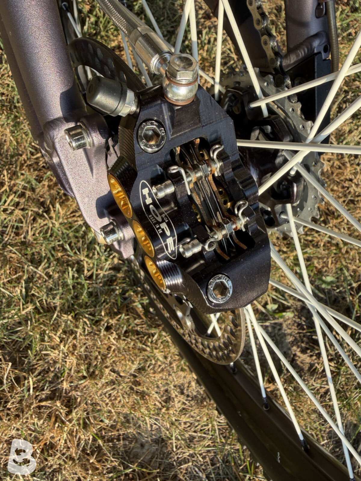 Santa Cruz VP FREE 2004