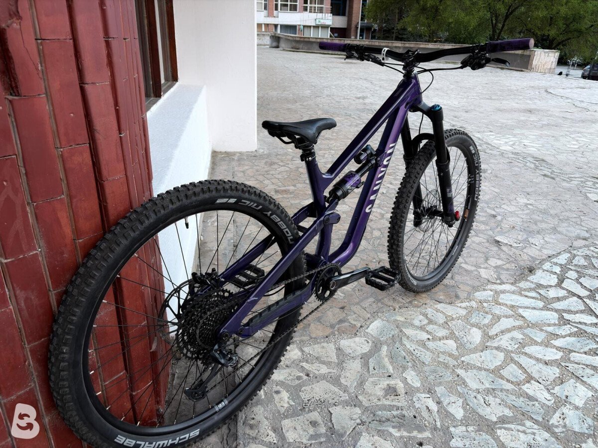 Canyon Torque 29 AL 6 2023