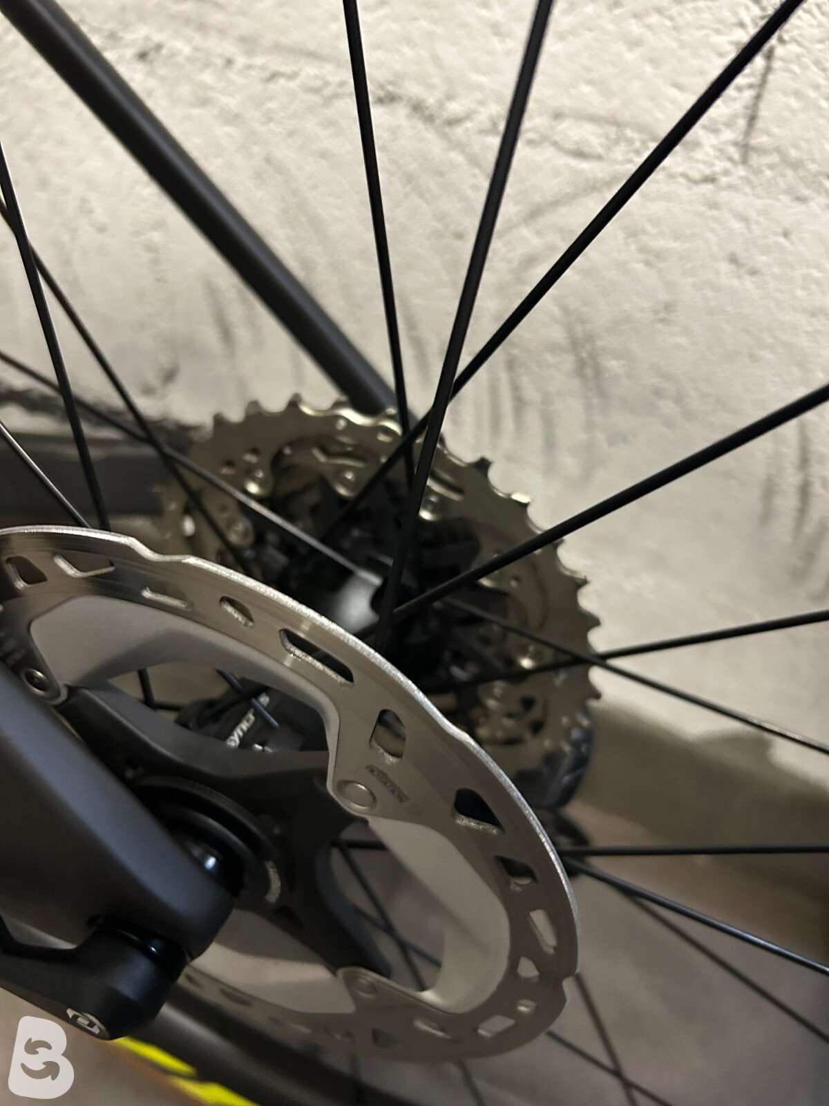 Scott Foil RC 10 2022